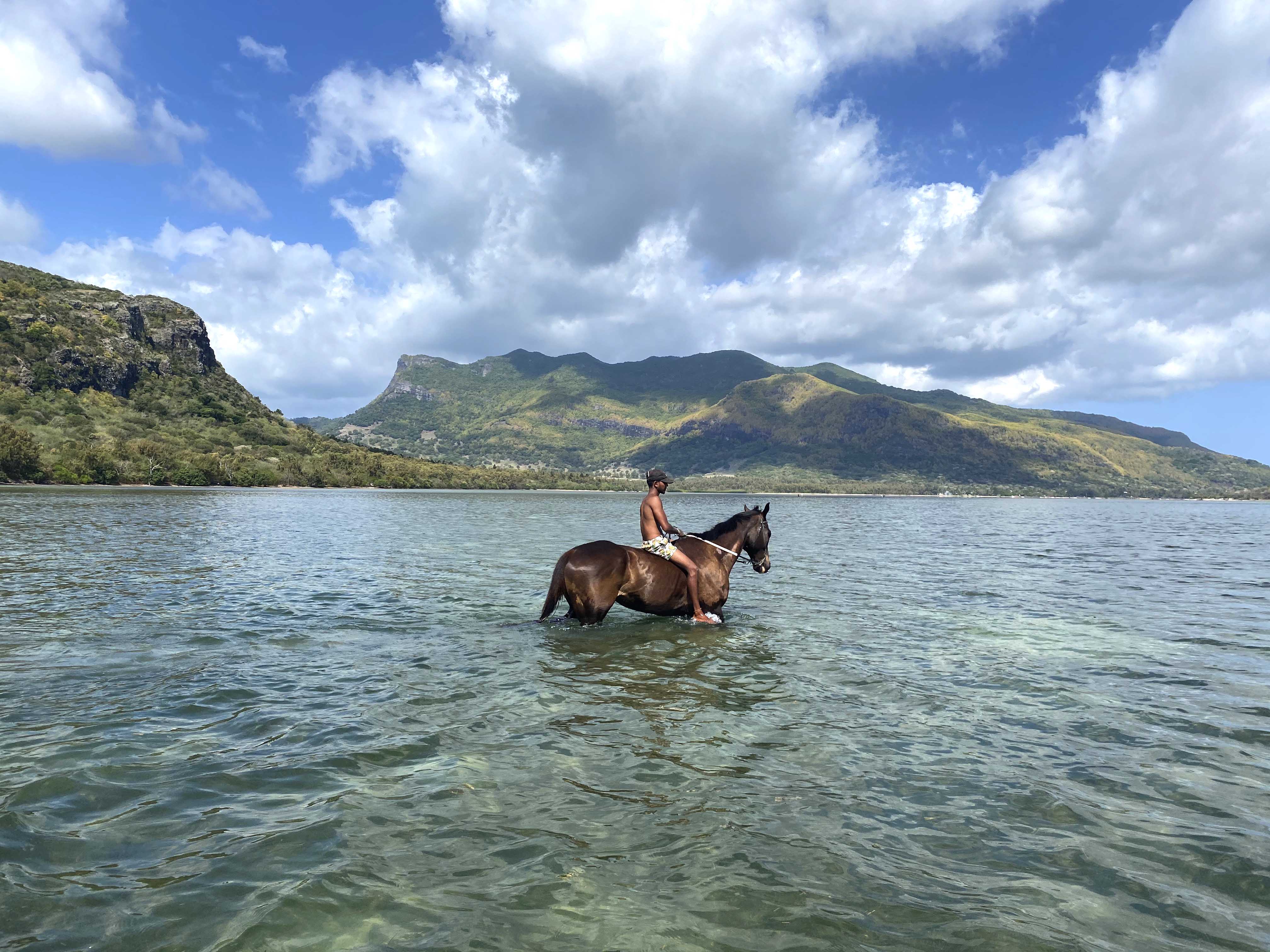 le haras du morne