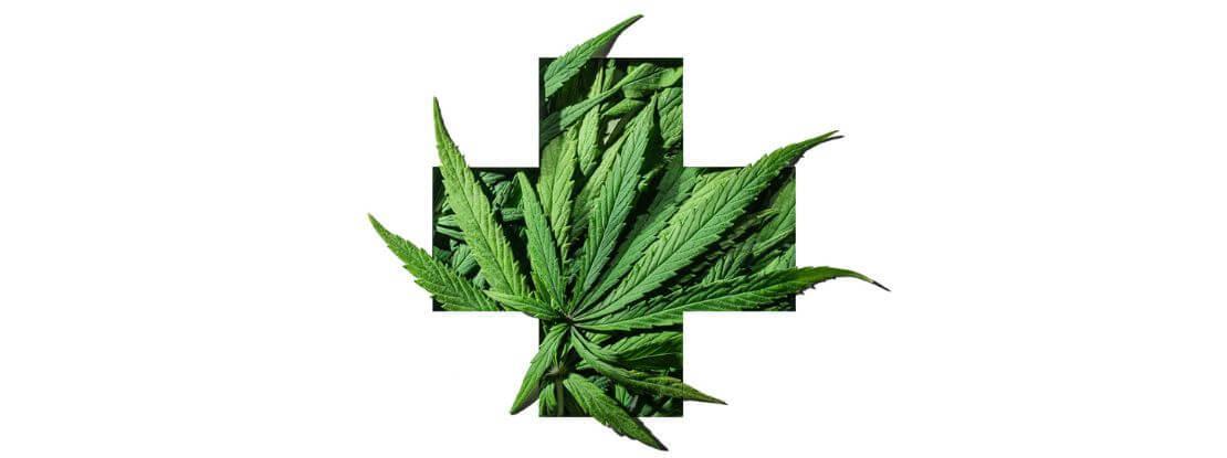 Cannabis thérapeutique : Aurélien Rousseau annonce la poursuite de l’expérimentation