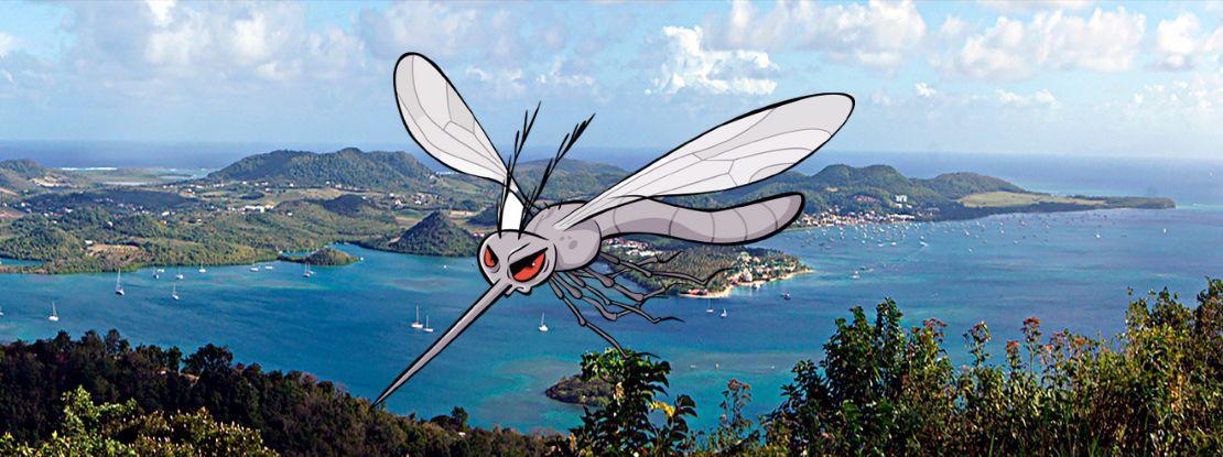 Depuis 6 mois, 3 000 cas évocateurs de dengue en Martinique
