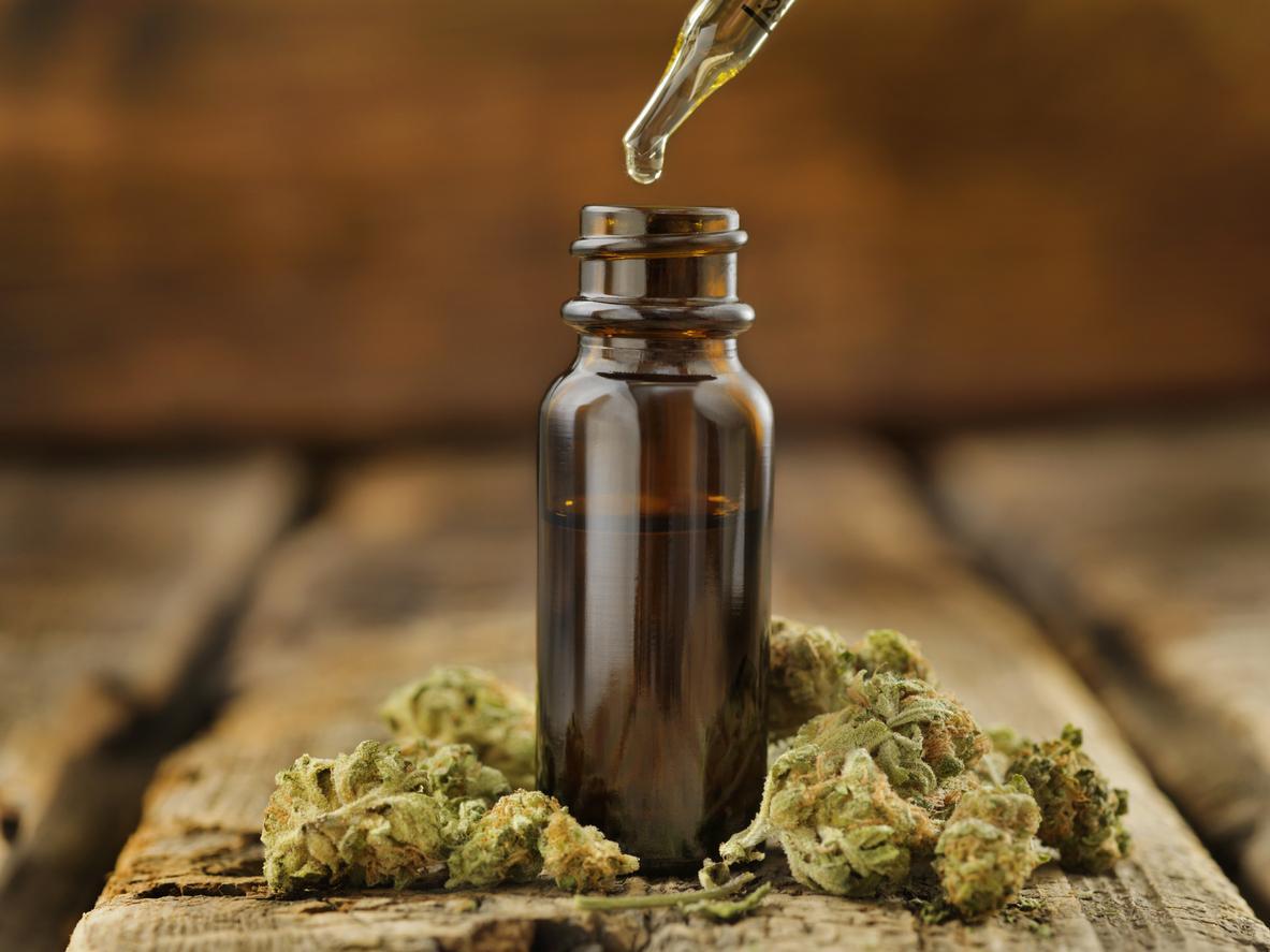 Expérimentation du cannabis médical : quel rôle pour les professionnels de santé ? 