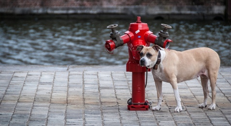 Pas de départs volontaires dans les hôpitaux