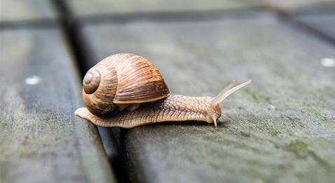 PH : un CDI en perte de vitesse chez les jeunes 
