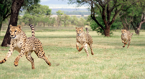Législatives : 120 médecins dans la course