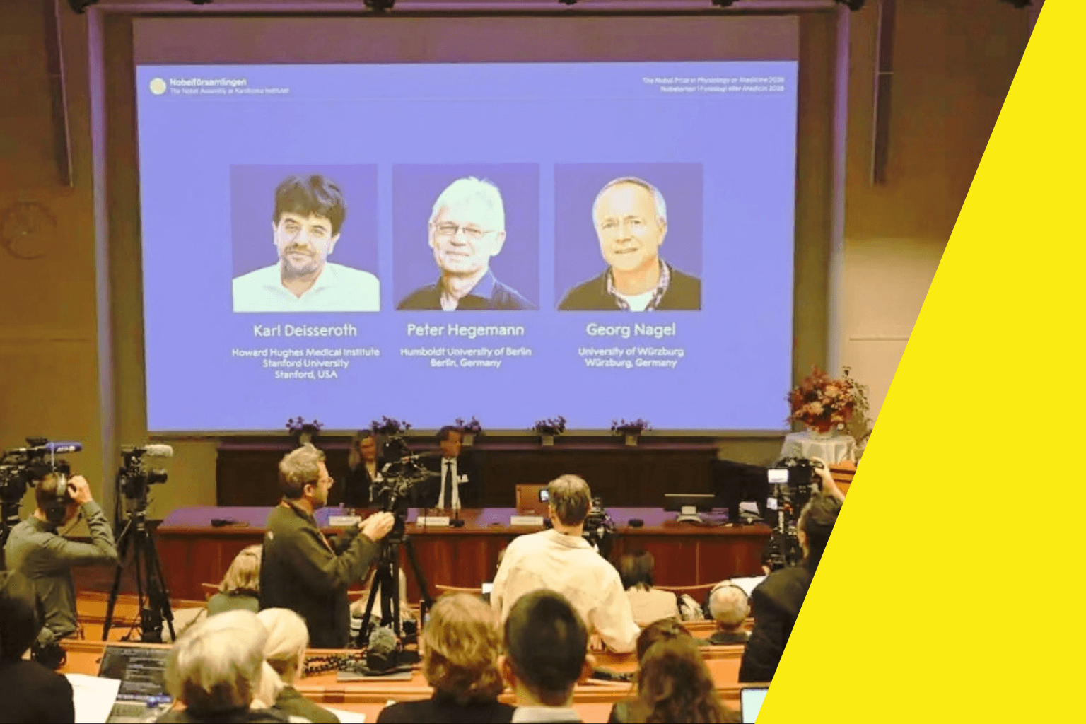 Commander les neurones avec la lumière : trois pionniers de l’optogénétique décrochent le Nobel de médecine