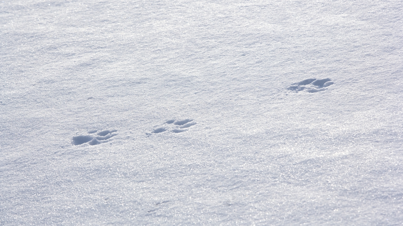 Les médecins quittent la permanence des soins à pas de loup