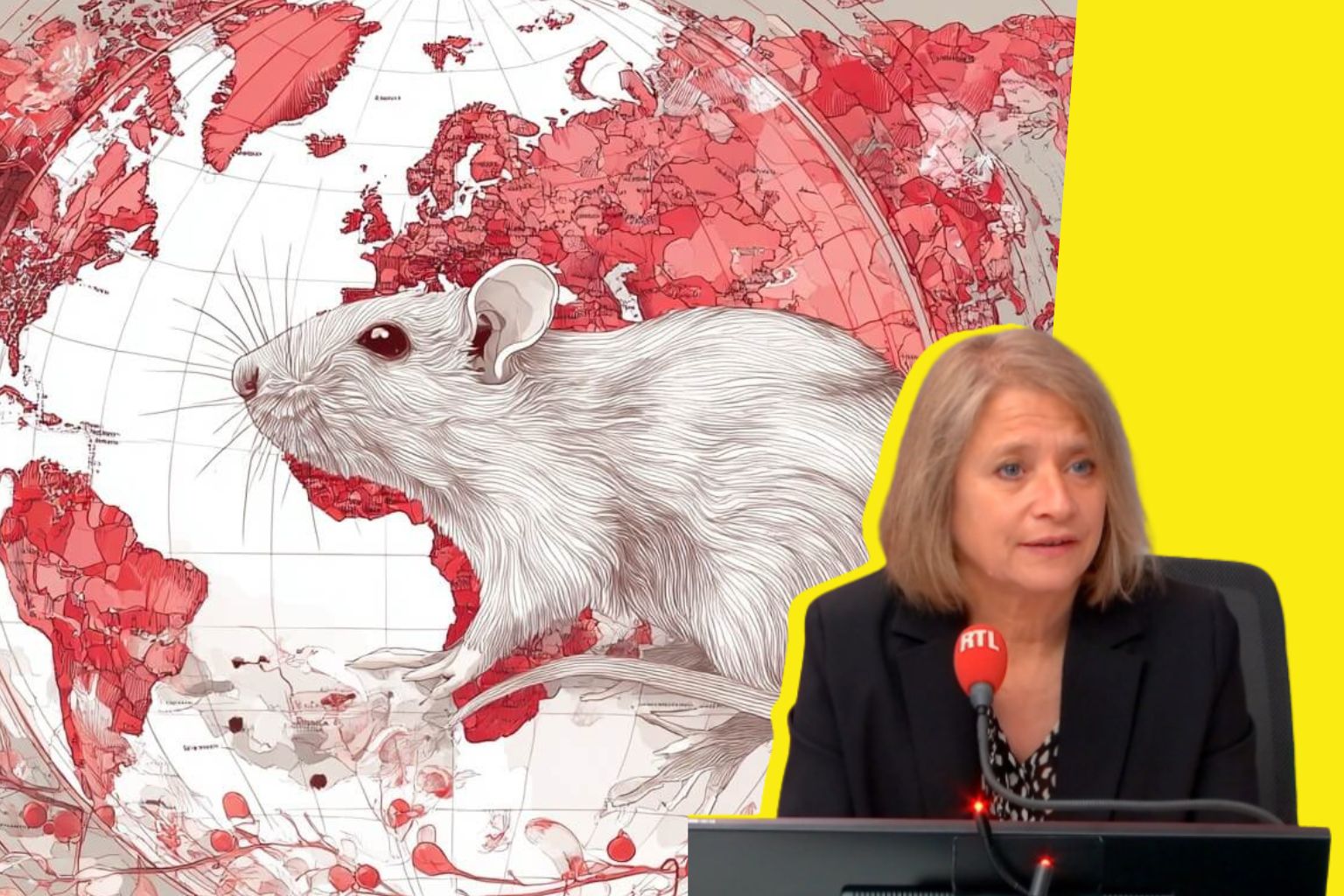 Hantavirus : Pr Karine Lacombe estime qu’« on a tiré les leçons du Covid »