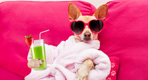 MSP en gestion : les avantages du salariat en libéral