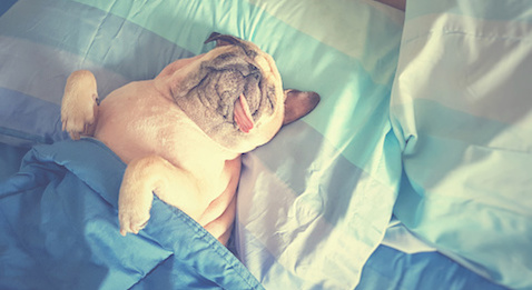 TPG : les syndicats perdent leur temps