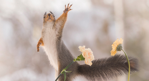 CH du Mans : Hé oh, y’a quelqu’un ?