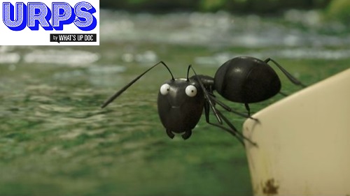 Témoignage : les URPS, un travail de fourmi