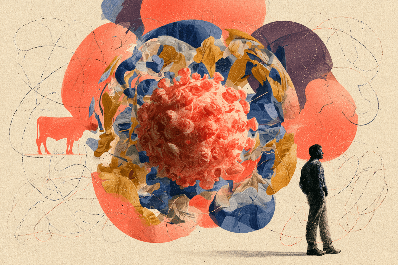 Virus Shamonda : que sait-on de ce virus animal détecté pour la première fois chez l'homme ?