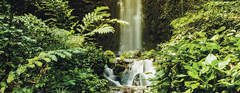 Bons conseils avant le départ