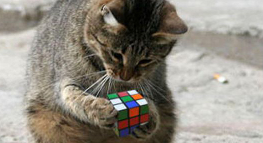 Conseil supérieur des personnels médicaux : le casse-tête 