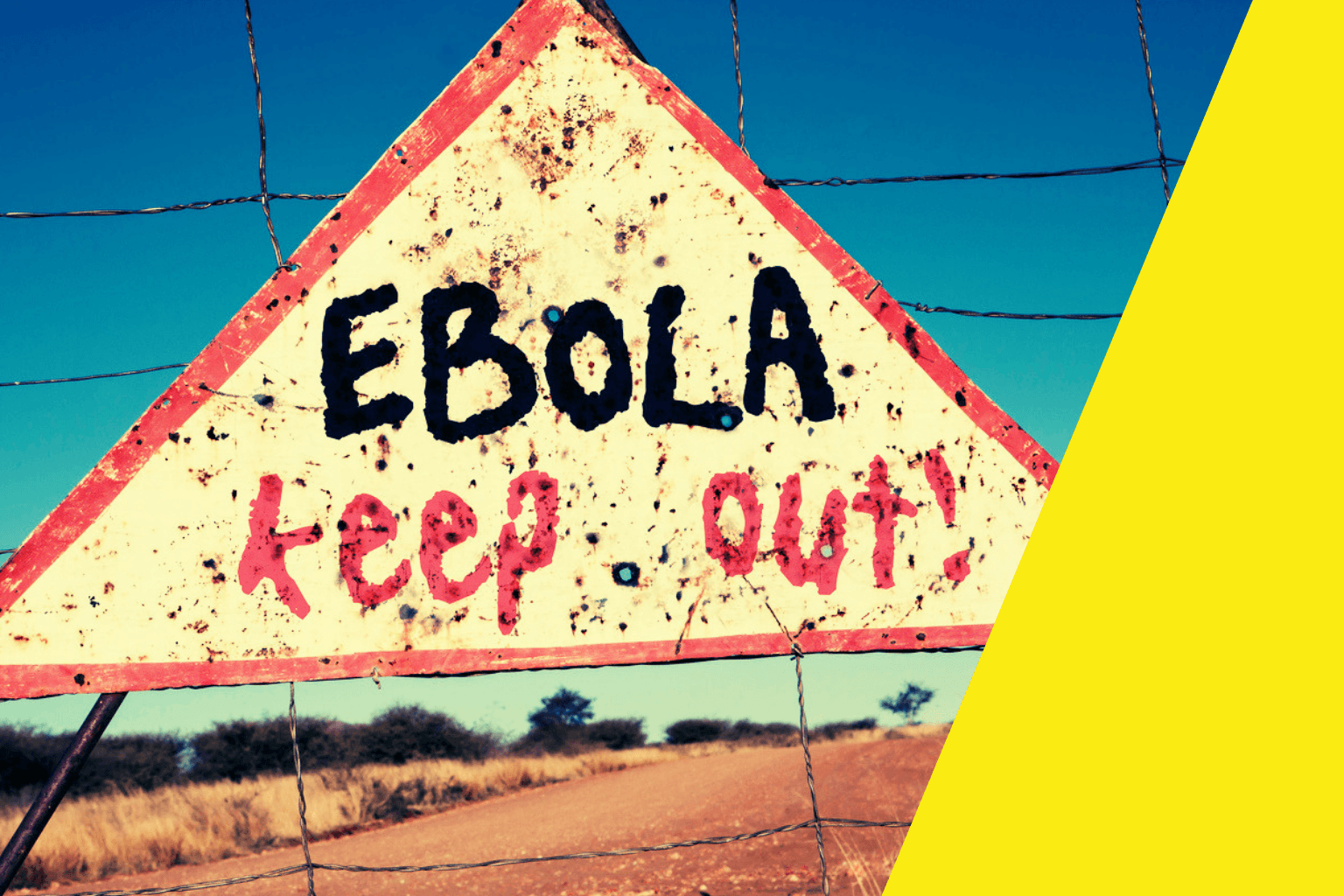 Ebola en RDC : ça n'en finit plus, 6 000 cas, mortels pour la moitié