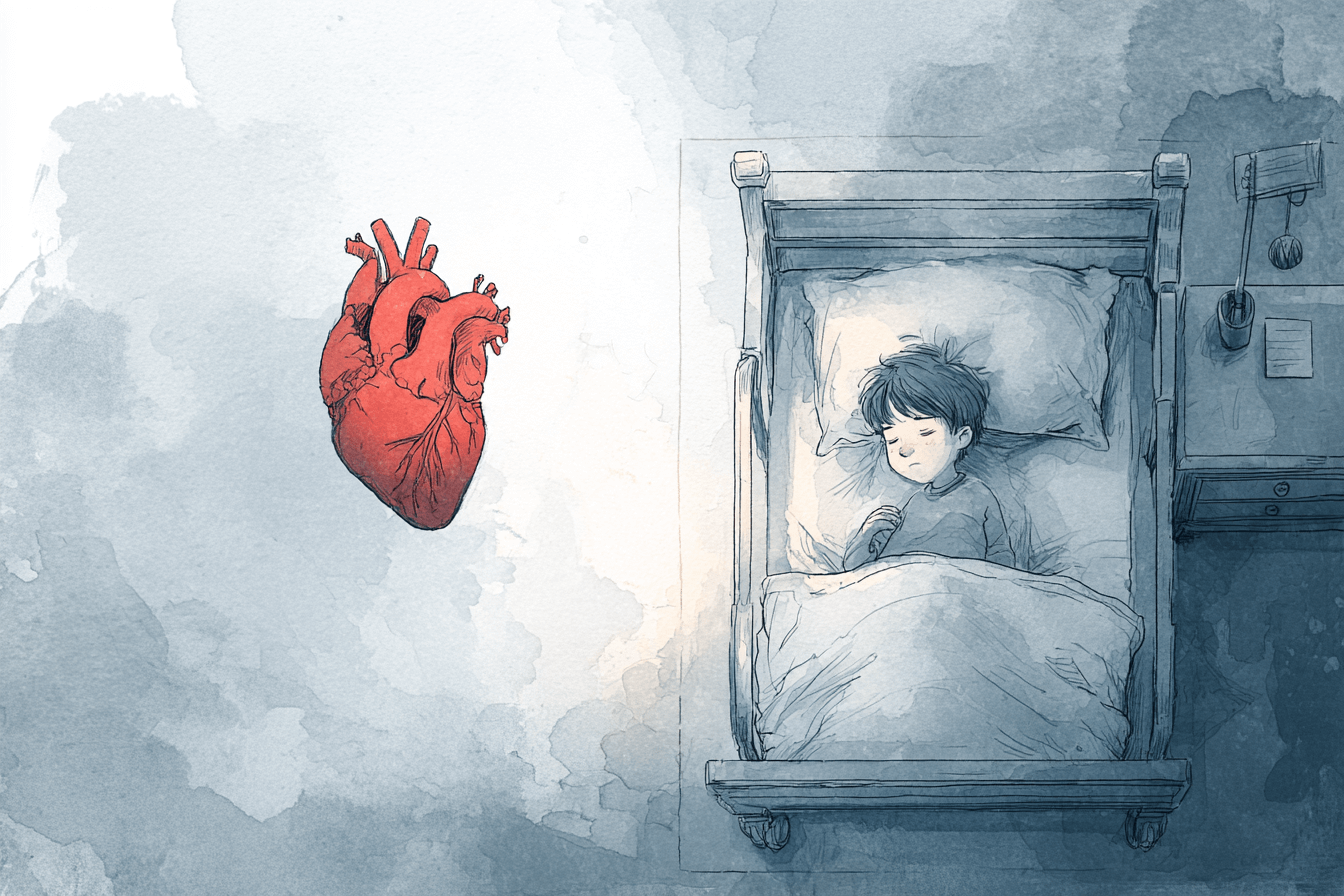 Un enfant italien est décédé après une greffe cardiaque, les conditions de transport de l'organe mises en cause