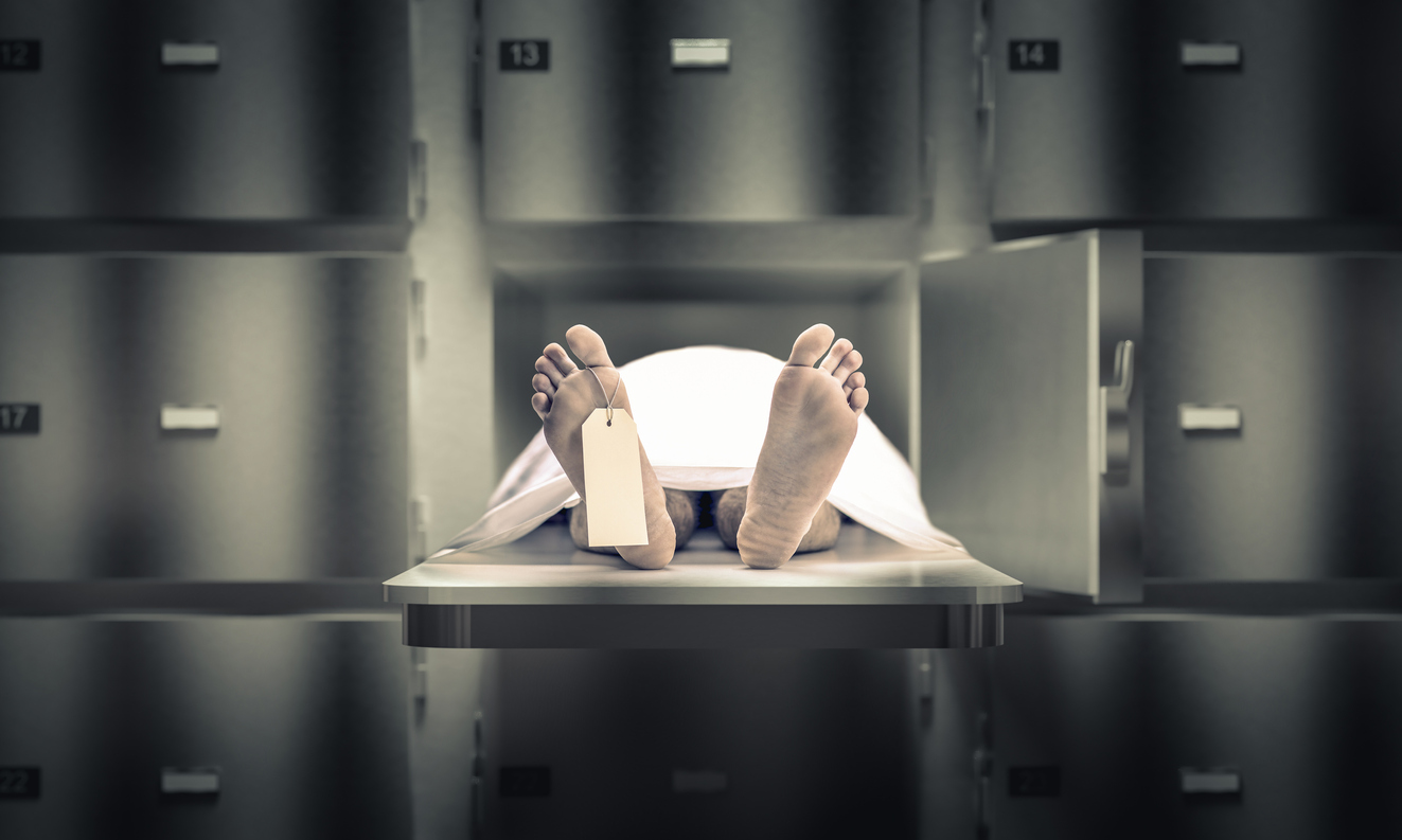 Interview du Pr Michel Debout :  « La médecine légale ne se réduit pas à la salle d’autopsie »
