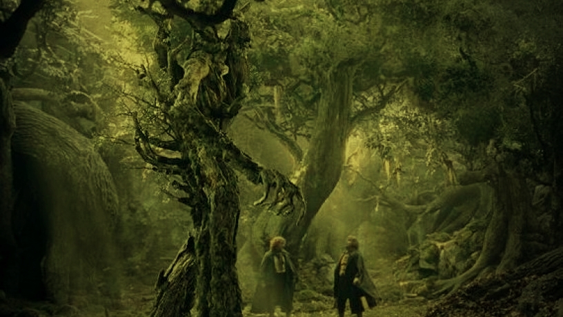 Loi de santé adoptée : que cache l’arbre du tiers-payant ?