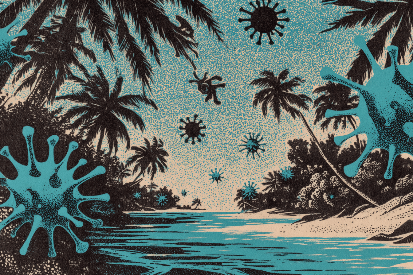 Neuf cas de mpox recensés à Mayotte mais la situation reste « peu inquiétante » selon l'ARS 