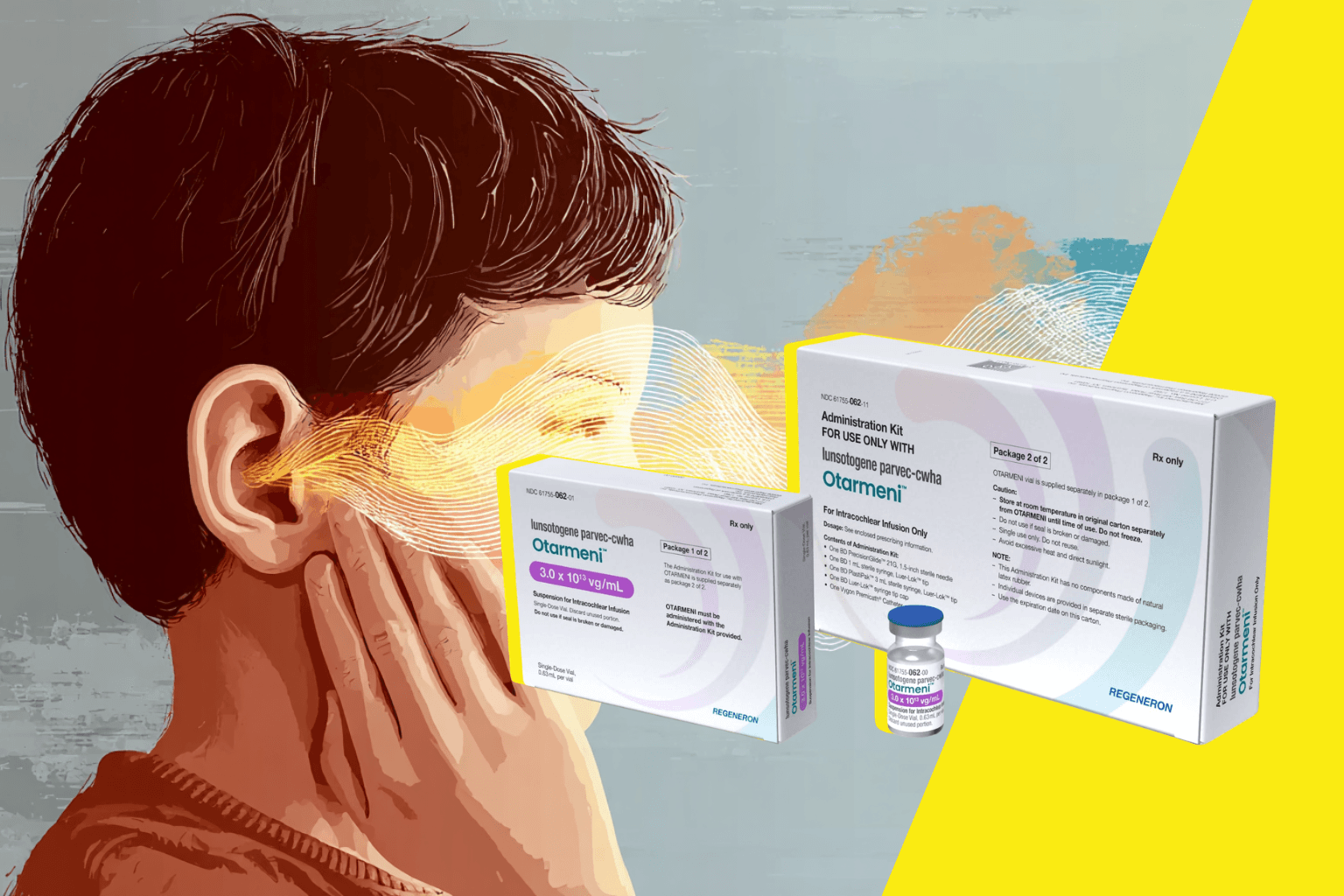 Les États-Unis autorisent une thérapie génique qui redonne l'audition aux enfants sourds