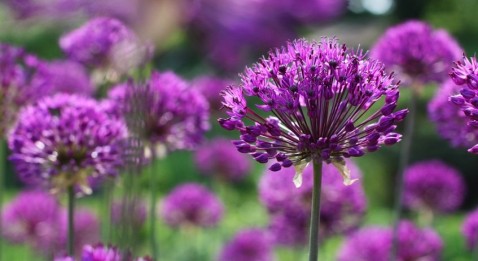 Va-t-on savoir finir ?