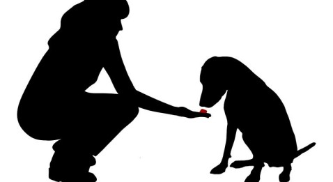 Limitation des remboursements des mutuelles !