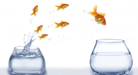 Vers un déconventionnement massif en 2014 ?