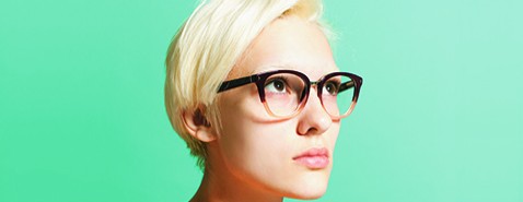 Une construction professionnelle en réaction