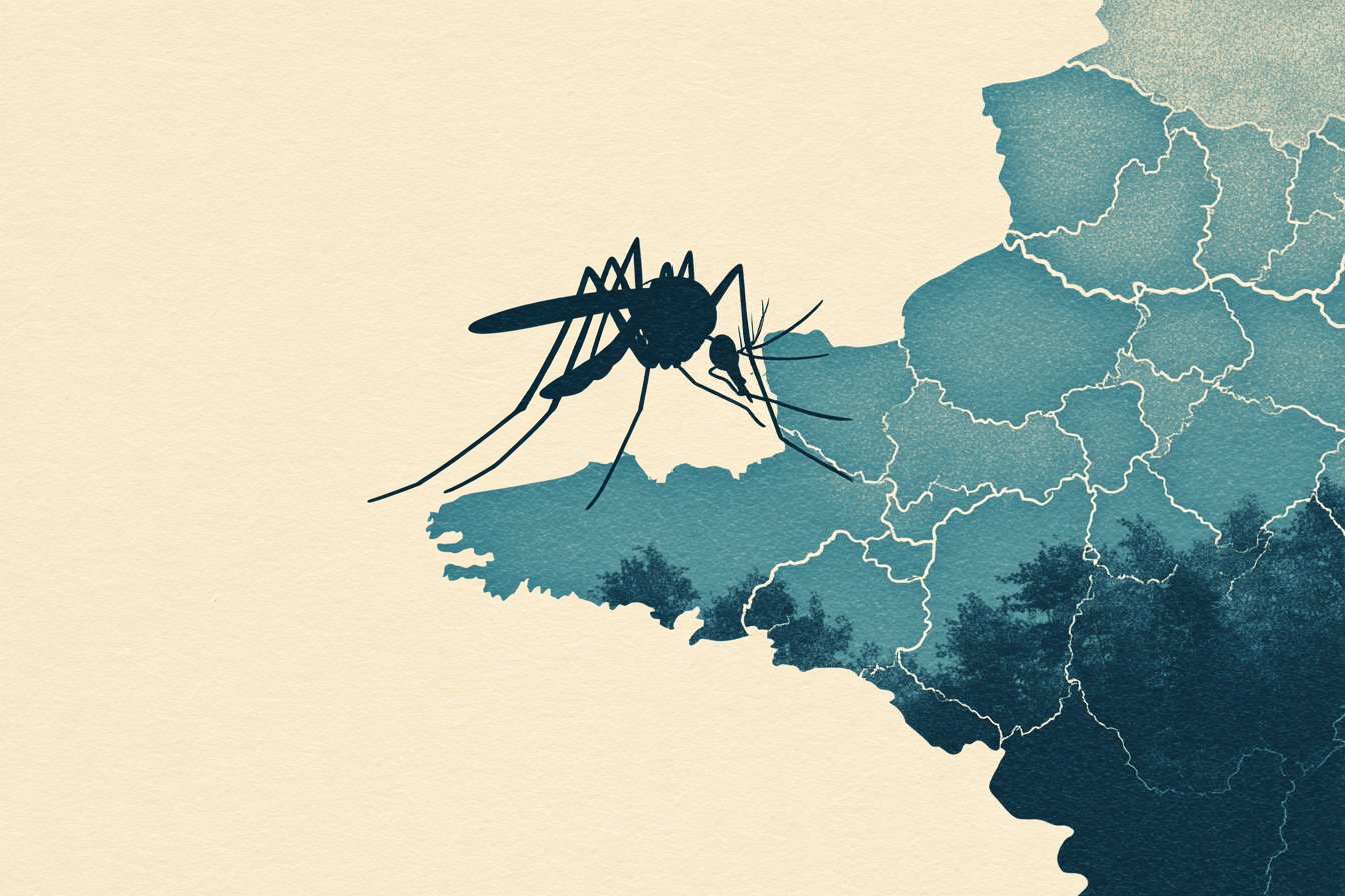 Maladies arboviroses : après une année record, l'appel à la vigilance de Santé publique France