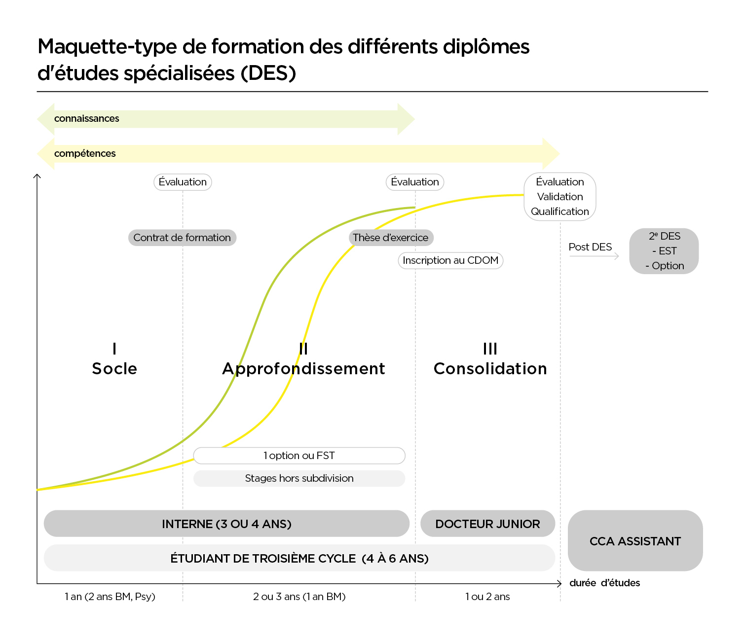 Maquette type de formation des différents dipllômes