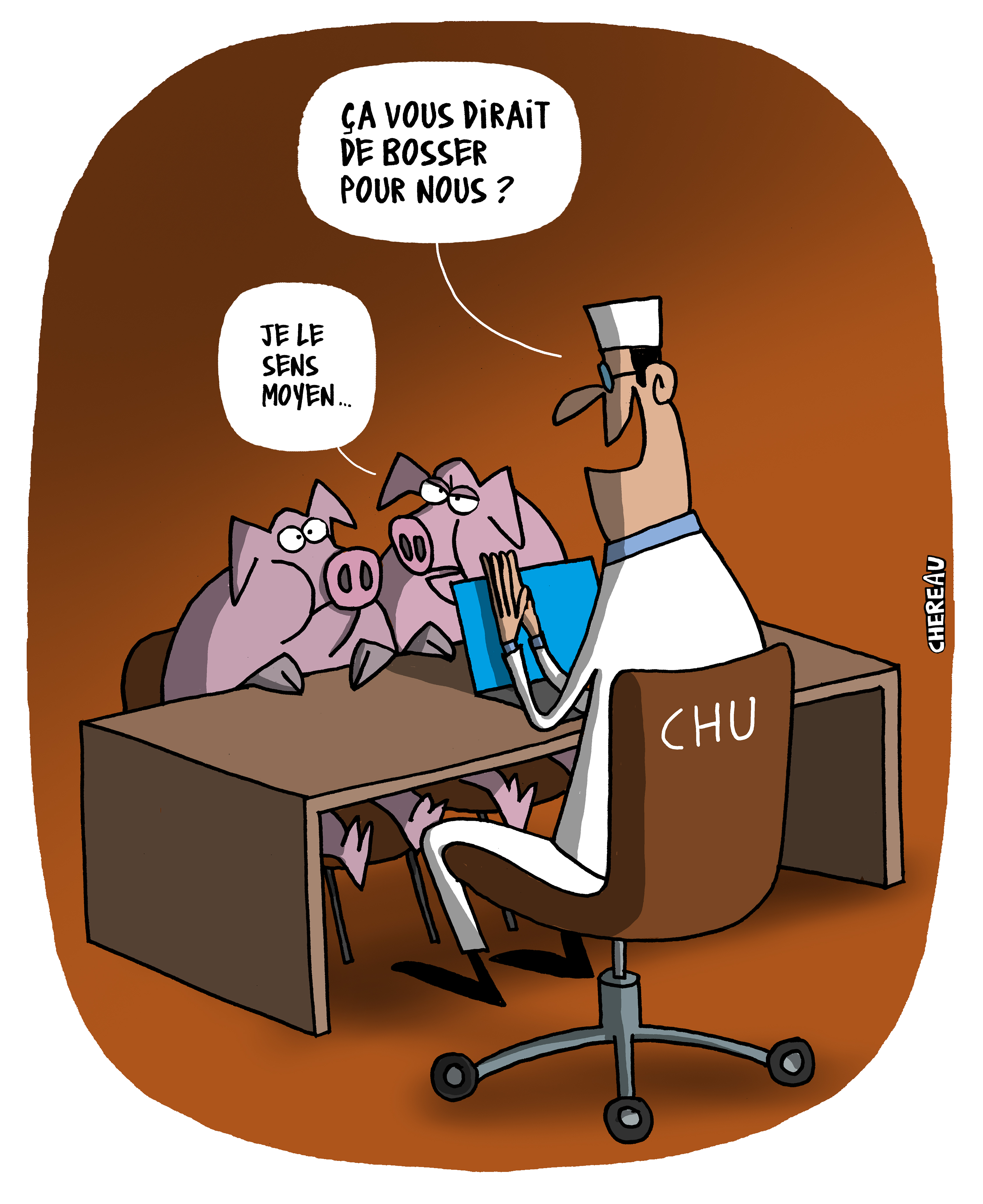 Dessin humour sur des cochons