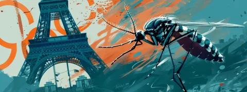 A un mois des JO de Paris, la dengue et d'autres arboviroses plus que jamais sous surveillance