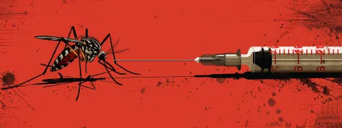 L'Agence européenne des médicaments valide le premier vaccin contre le Chikungunya 