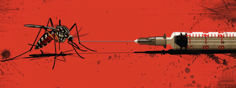 L'Agence européenne des médicaments valide le premier vaccin contre le Chikungunya