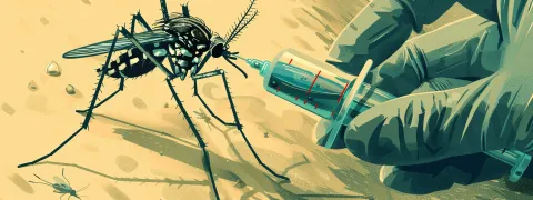 Visite de l'usine à moustiques modifiés de Bill Gates, en Colombie, pour lutter contre la dengue