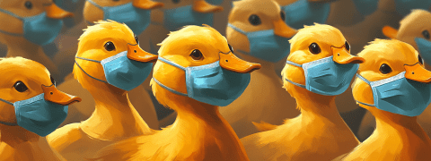 Grippe aviaire : le risque est relevé d'un cran 