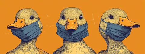 L’OMS appelle à renforcer la surveillance face à la grippe aviaire