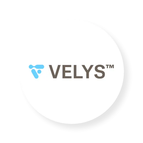 logo_Velys
