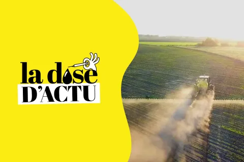 La dose d'actu de la semaine du 1 août : démographie médicale, postes d’internat et loi Duplomb