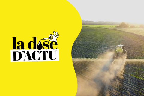 La dose d'actu de la semaine du 1 août : démographie médicale, postes d’internat et loi Duplomb
