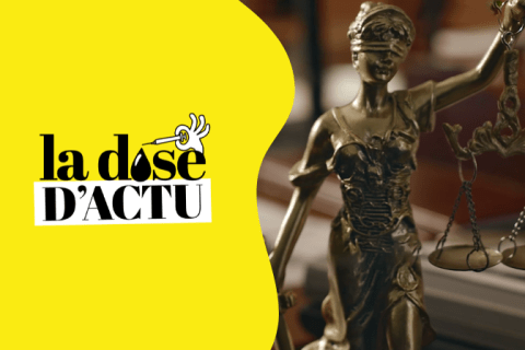 La dose d'actu' de la semaine du 29 novembre : streamers engagés pour le don du sang, classement des spécialités préférées et jugement du fondateur d'une prépa fantôme