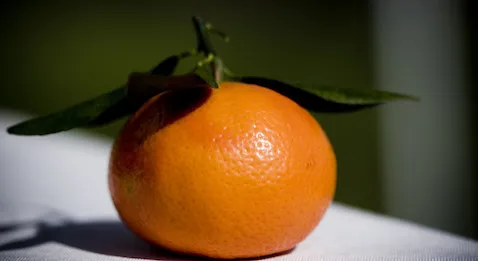 Suppression des ECN, retour du mandarinat ?