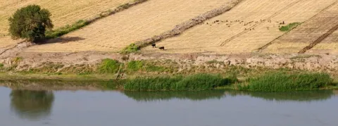 Le choléra tue en Syrie, comme jamais depuis 10 ans, 39 morts et 6OO infections