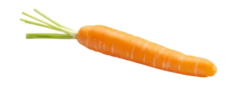 La 4e année d’internat des médecins gé, payée « jusqu’à 4 500 euros nets par mois »