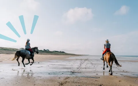 Salariat, cheval et permaculture : la vie rêvée du Dr Sophie Favier dans la Manche