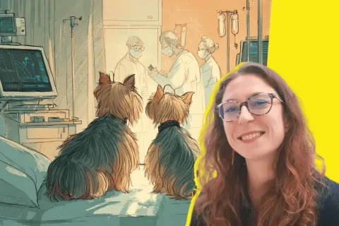 Adèle Gauthier : « Il est possible et sécurisé de faire entrer des chiens en réanimation pour apporter du soutien aux patients » 