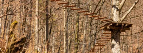 Pas d’études raccourcies pour les aides-soignantes ! Les syndicats infirmiers ont saisi la justice