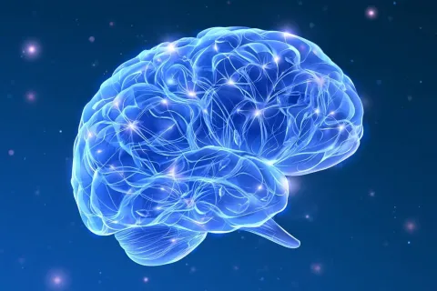  Alzheimer : anti-amyloïdes, prise de sang, tau… ce qui pourrait vraiment changer la prise en charge