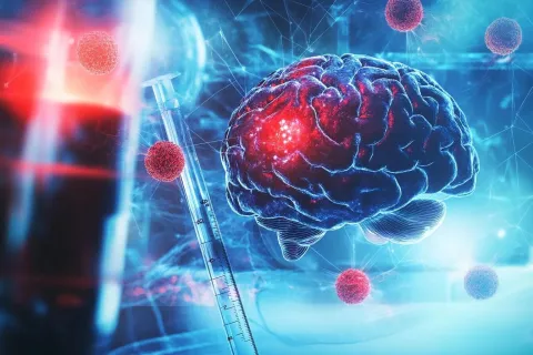 Alzheimer : le sang peut-il vraiment parler pour le cerveau ?