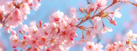 Un printemps radieux en métropole sur le front des épidémies... mais un cas de choléra à la Réunion