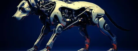 Implant cérébral, gant stabilisateur pour Parkinson, robot-chien d'aveugle... Au festival de la tech', les innovations santé pleuvent 